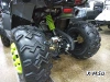 Квадроцикл PROMAX WILD 300 LUX (2024)