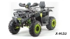 Квадроцикл PROMAX WILD 300 LUX (2024)