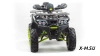 Квадроцикл PROMAX WILD 300 LUX (2024)