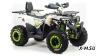 Квадроцикл PROMAX WILD 300 LUX (2024)