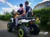 Квадроцикл PROMAX WILD 300 LUX (2024)