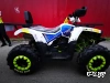 Квадроцикл PROMAX WILD 300 LUX (2024)