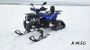 Квадроцикл PROMAX WILD 300 LUX (2024)