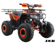 Квадроцикл SSSR Master