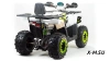 Квадроцикл PROMAX WILD 300 LUX (2024)
