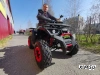 Квадроцикл PROMAX WILD 300 LUX (2024)