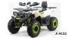 Квадроцикл PROMAX WILD 300 LUX (2024)