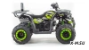 Квадроцикл PROMAX WILD 300 LUX (2024)