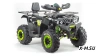 Квадроцикл PROMAX WILD 300 LUX (2024)