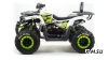 Квадроцикл PROMAX WILD 300 LUX (2024)