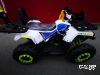 Квадроцикл PROMAX WILD 300 LUX (2024)