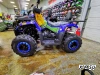 Квадроцикл PROMAX WILD 300 LUX (2024)