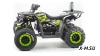 Квадроцикл PROMAX WILD 300 LUX (2024)