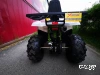 Квадроцикл PROMAX WILD 300 LUX (2024)