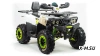 Квадроцикл PROMAX WILD 300 LUX (2024)