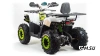 Квадроцикл PROMAX WILD 300 LUX (2024)