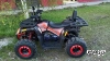 Квадроцикл PROMAX WILD 300 LUX (2024)