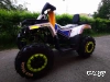 Квадроцикл PROMAX WILD 300 LUX (2024)