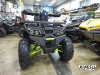 Квадроцикл PROMAX WILD 300 LUX (2024)