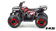 Квадроцикл PROMAX WILD 175