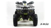 Квадроцикл PROMAX WILD 300 LUX (2024)